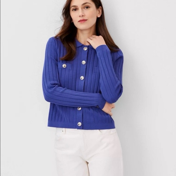 ANN TAYLOR BLUE RIBBED COLLARED POCKET CASUAL CHUNKY COZY SWEATER SZ SMALL - Picture 1 of 8